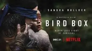 فیلم جعبه پرنده Bird Box دوبله فارسی