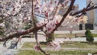 ریلکسیشن بهار