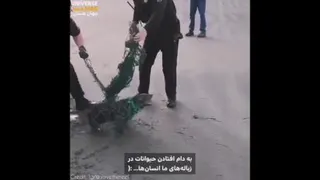یه کار خوب از یه پلیس
