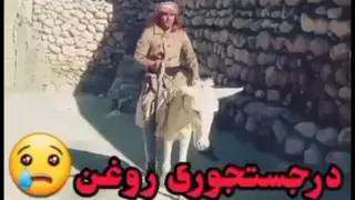 در جستجوی روغن .........