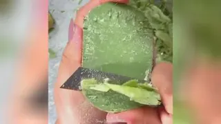 حال دهنده