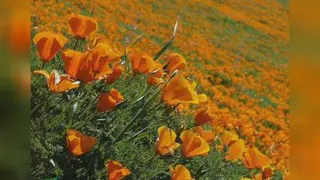 مبعث رسول اکرم مبارک