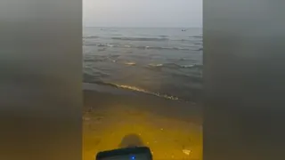 ساحل گیسوم