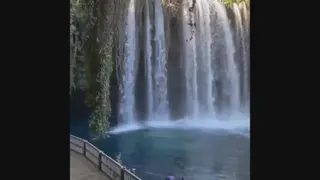 آبشار وخفاش