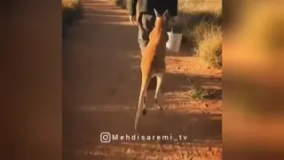 حال ما تو اخر ترم