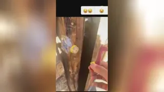 خلاقیت درحدلالیگا