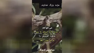 چرا انسان را بعد از مرگ کفن میکنند