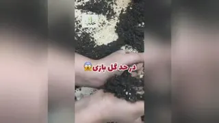 مشکلات زاموفیلیا