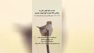 مدیتیشن