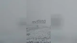 زندگی باید کرد