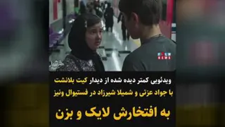 فستیوال ونیز