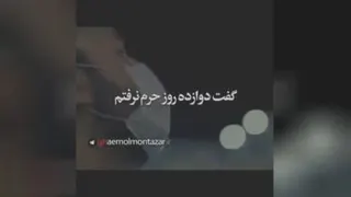 زائر عجیب امام رضا