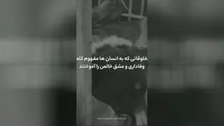 دار زدن حیوانات