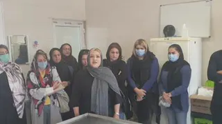کشتن سگ ها