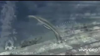 «دنیایی در زیر آب»