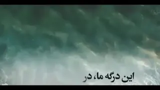 شکرگزاری