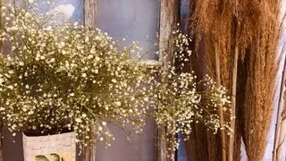 تم عکاسی بهاری