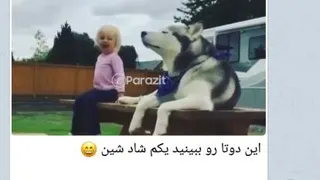 طنز سگ وبچه