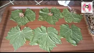 آموزش پیچیدن دلمه برگ مو مجلسی و شیک