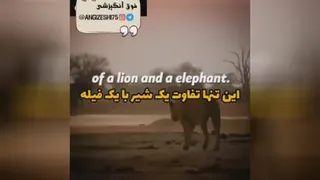 ذهنت خیلی مهمه