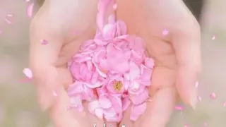 حس زیبای مادری آهنگ:مازنی