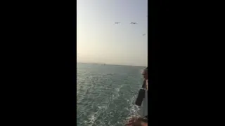 فیلم