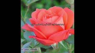 زندگی مقصدی نداره.؟