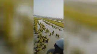 تولیدی نشابرنج
