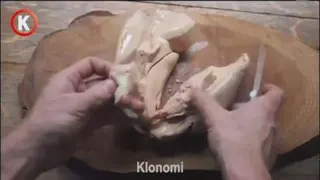 عجیب ترین غذایی که انسان تا به حال دیده