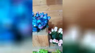 گل فروشی ازالیا