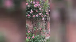 یه کم زیبایی ببینیم ✨🦋