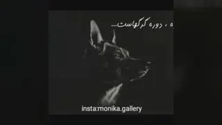 دلنوشته