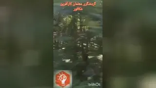شیرگاه فقط با مکاتور خوش میگذره