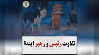 انگیزشی