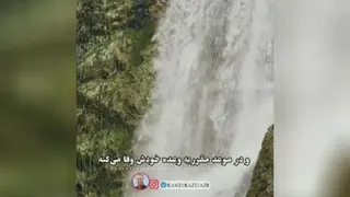 فقط خدا