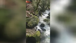 طبیعت