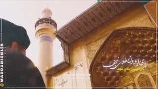چه خبره نجف؟