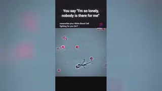 نقش گلبول ها😍