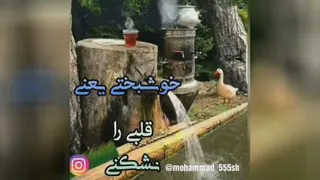 کلیپ روز