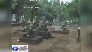 موجود عجیب