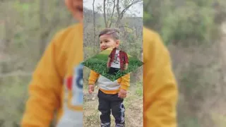 حسام آقا