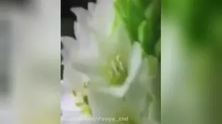 اهنگ جدید «مثل ماه»از گرشا رضایی