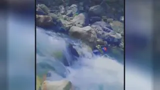 دتتلکگرارلمر