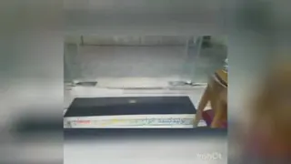 مبل سناتور