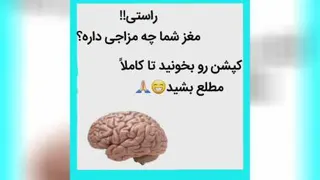 مغز و مزاج آن