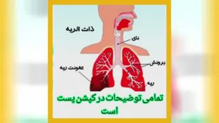 از کار افتادگی ریه ها
