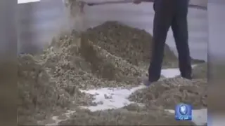 گلاب قصر