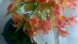 نگرش مثبت