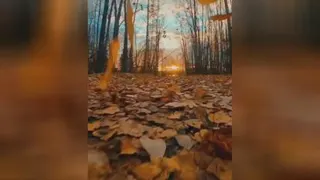فیلمبرداری معکوس
