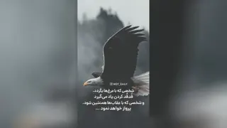 پرواز
